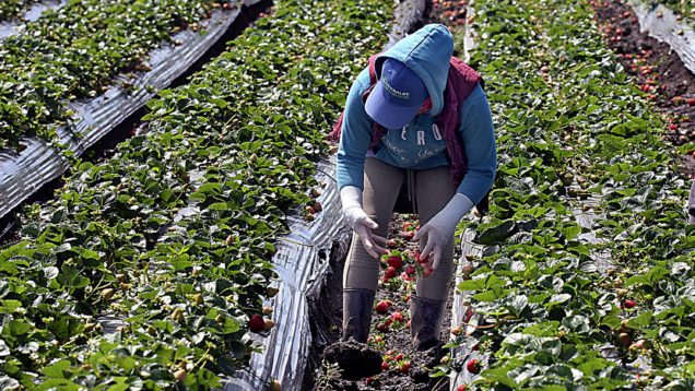 Five People Charged with Forced Labor Conspiracy Involving Trafficking of Victims from Georgia to Work on Wisconsin Farms | Live Media
