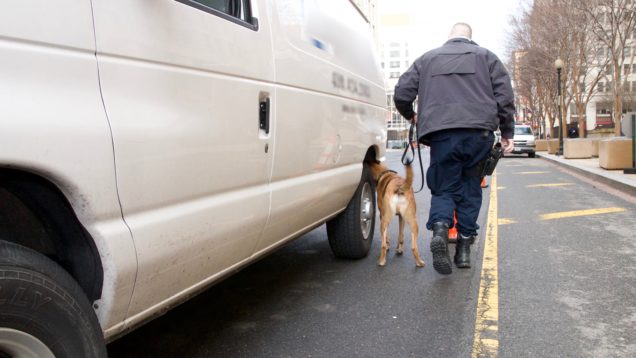 Civil forfeiture speeds recovery for dogs rescued from fighting rings | Live Media