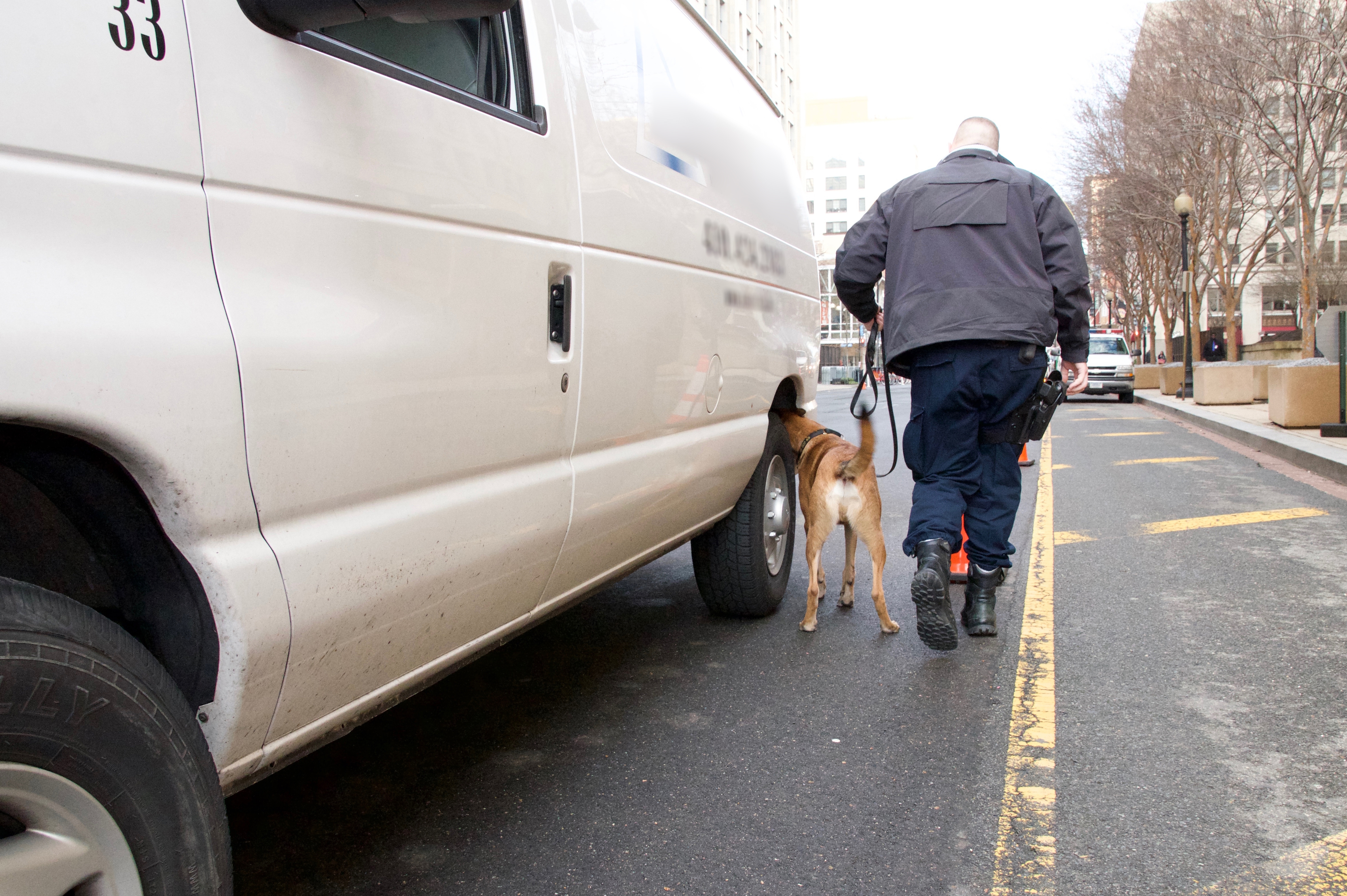 Civil forfeiture speeds recovery for dogs rescued from fighting rings | Live Media