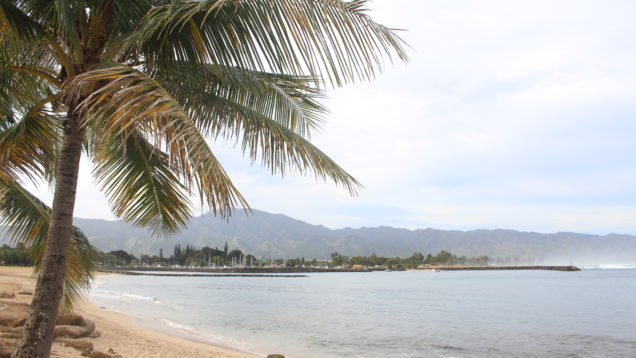 Oahu reopens beaches