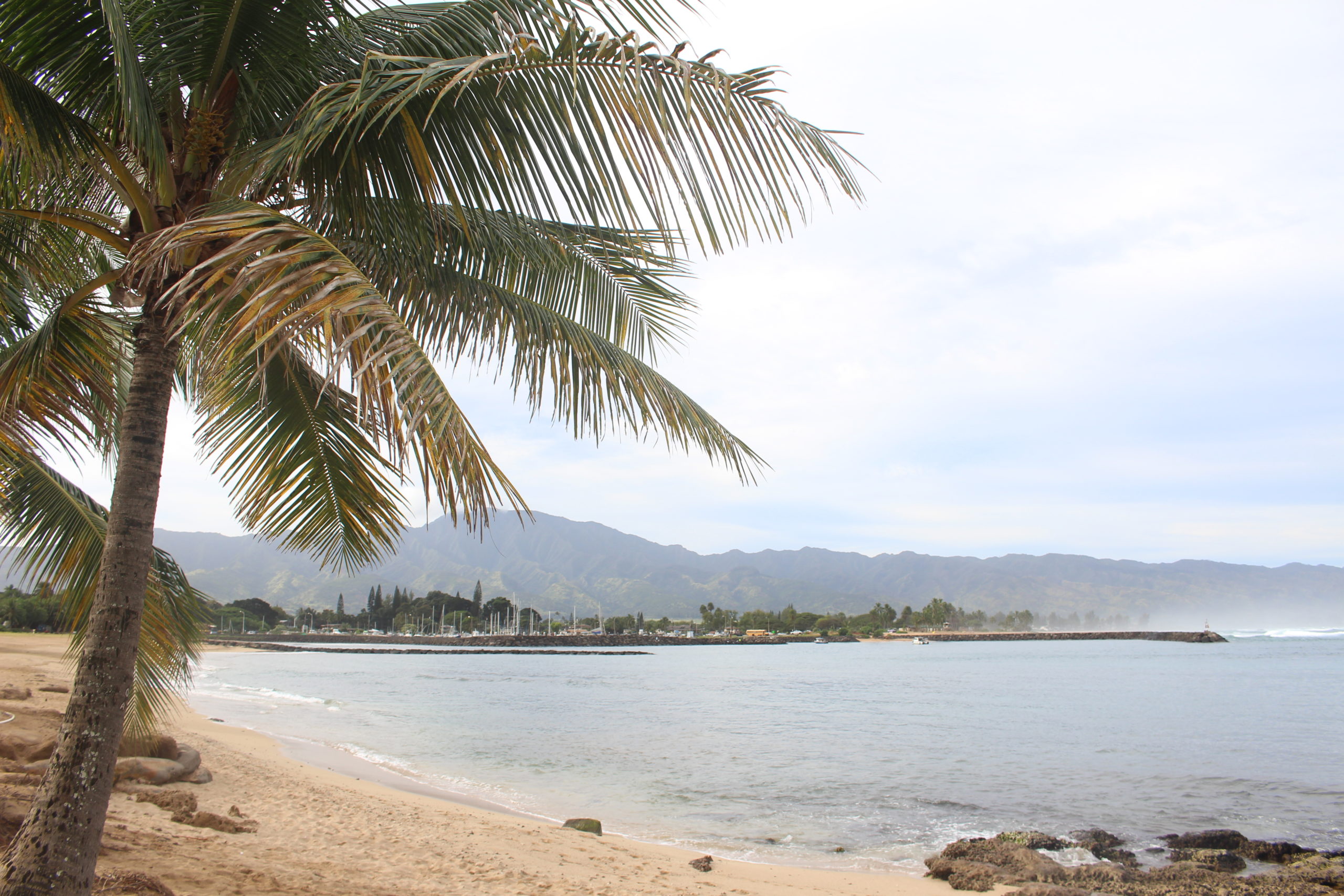 Oahu reopens beaches